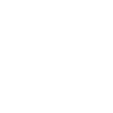 Expert en maîtrise automobile