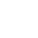 Expert en maîtrise automobile